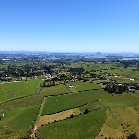 Homewell Tauranga Exteriér fotografie